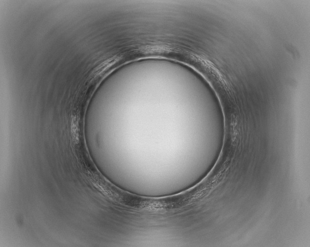 X0000115531217200911201712