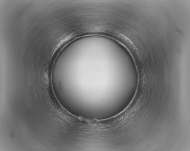 X0000115531218200911201712