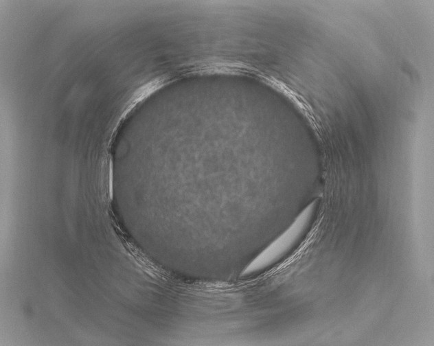 X0000115531219200911201712