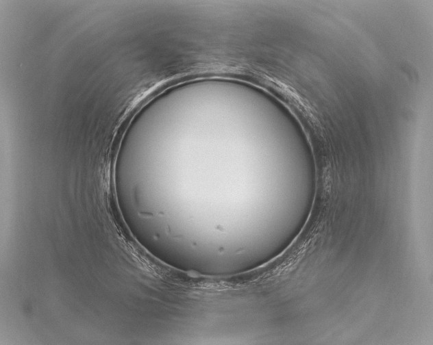 X0000115531220200911201712