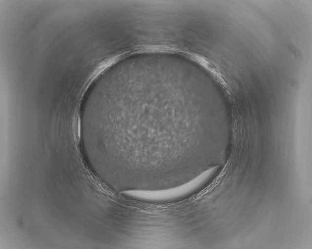 X0000115531221200911201712