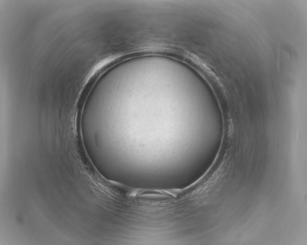 X0000115531222200911201712