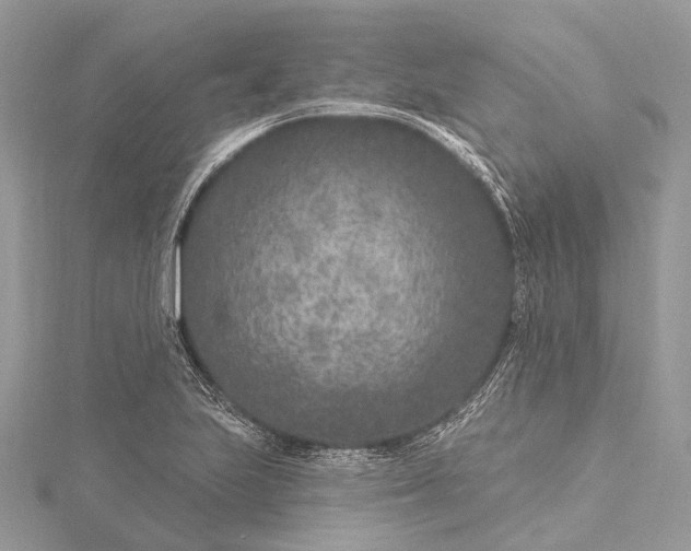 X0000115531223200911201712