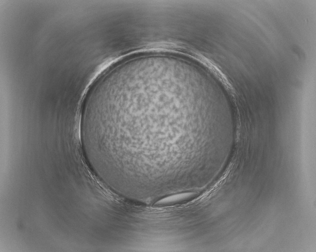 X0000115531224200911201712