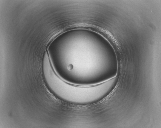 X0000115531225200911201712