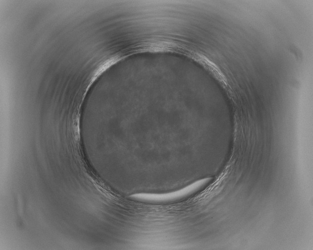 X0000115531226200911201712