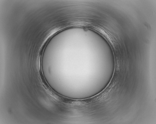 X0000115531227200911201712