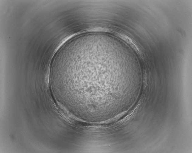 X0000115531228200911201712