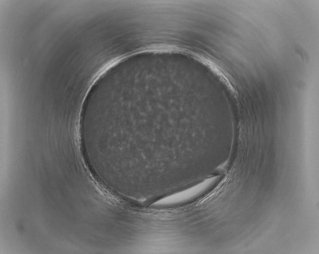 X0000115531229200911201713