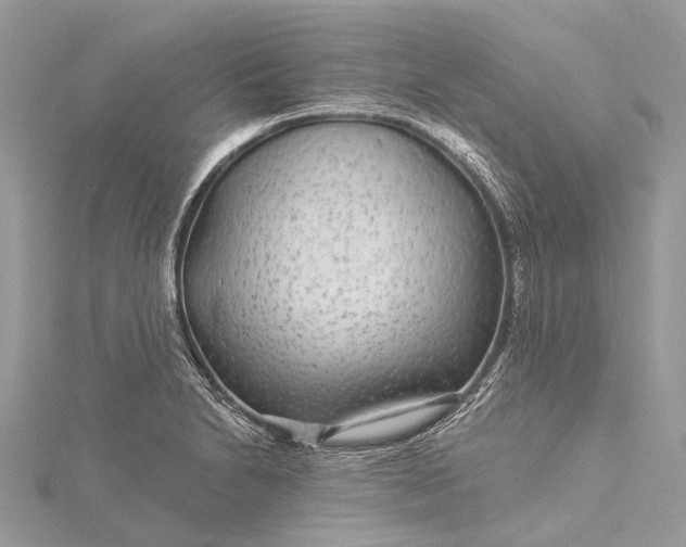 X0000115531230200911201713