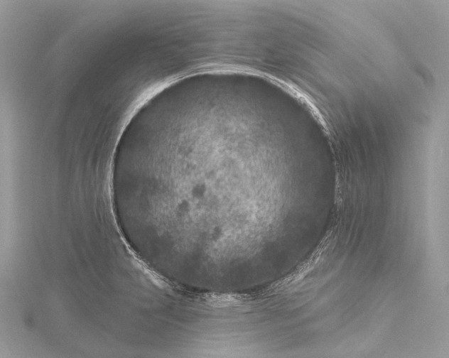 X0000115531231200911201713