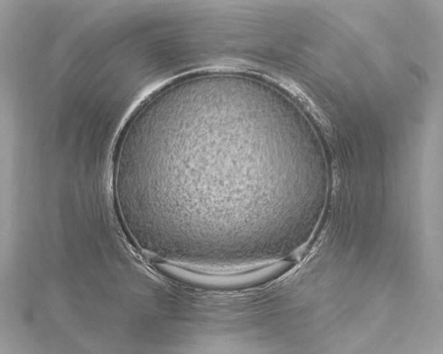 X0000115531232200911201713