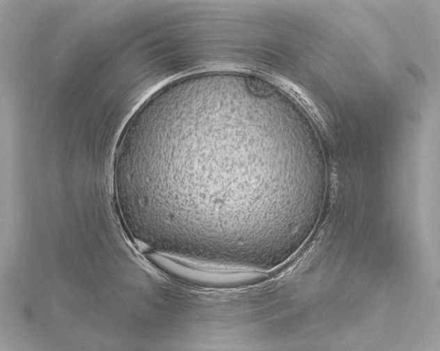 X0000115531236200911201713