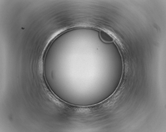 X0000115531238200911201713