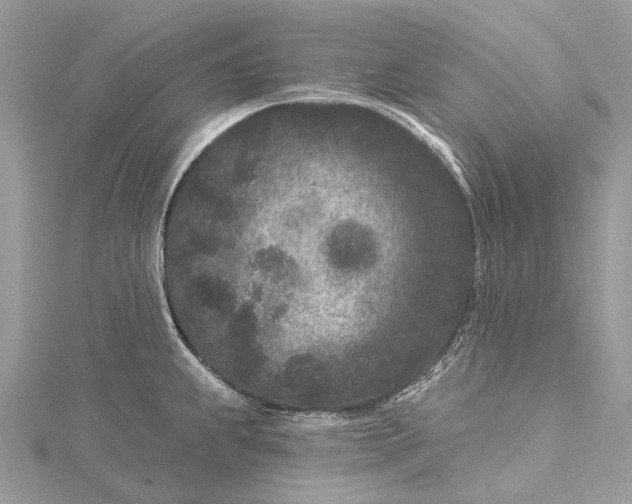 X0000115531239200911201713