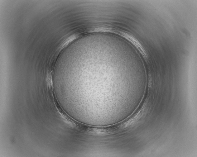 X0000115531241200911201713