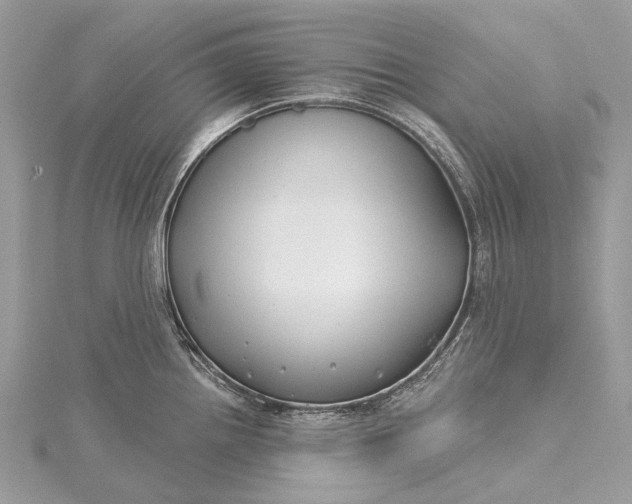 X0000115531242200911201713