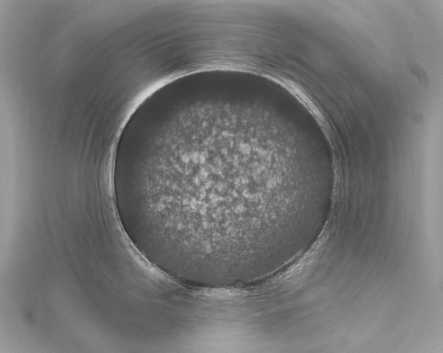 X0000115531246200911201713