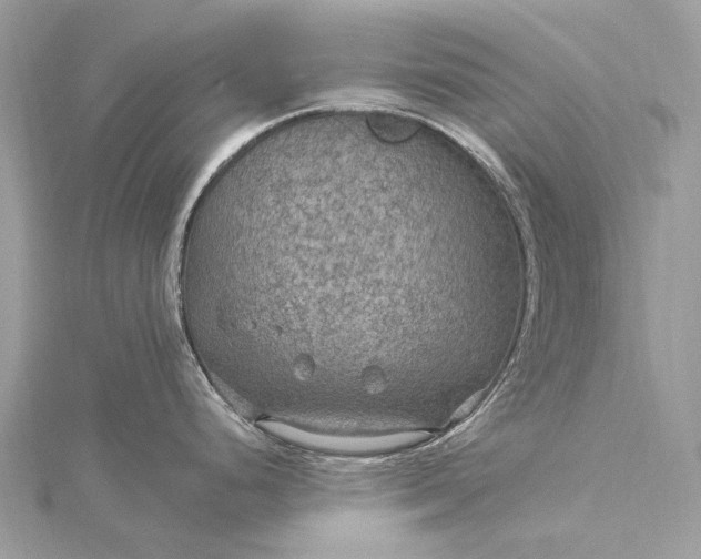 X0000115531248200911201713