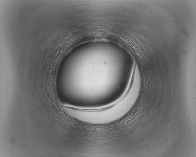 X0000115531249200911201712