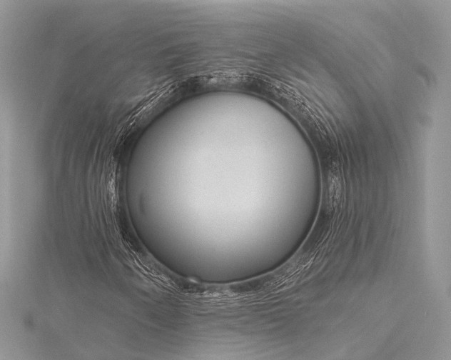 X0000115531250200911201712