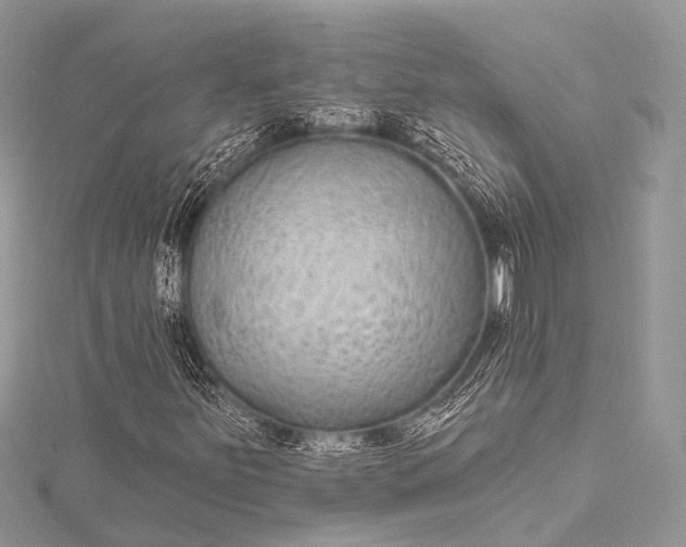 X0000115531251200911201712