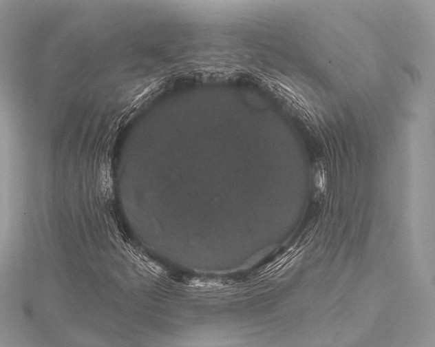 X0000115531252200911201712