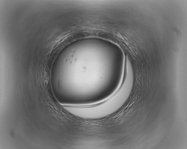 X0000115531253200911201712