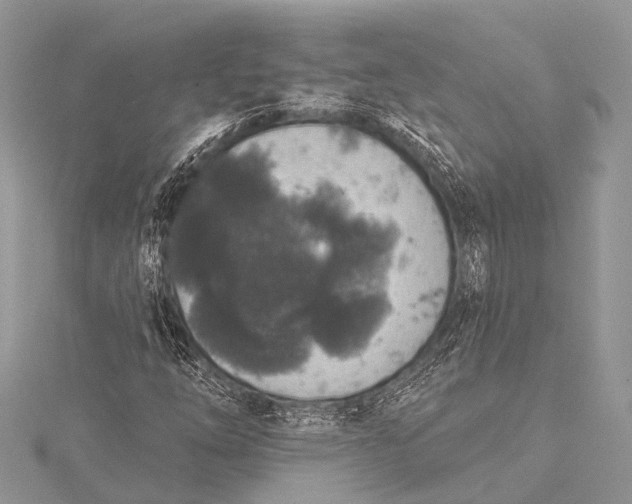 X0000115531254200911201712