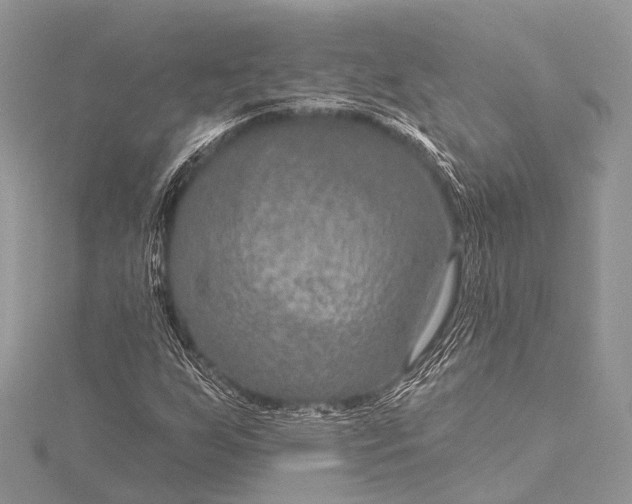 X0000115531255200911201712