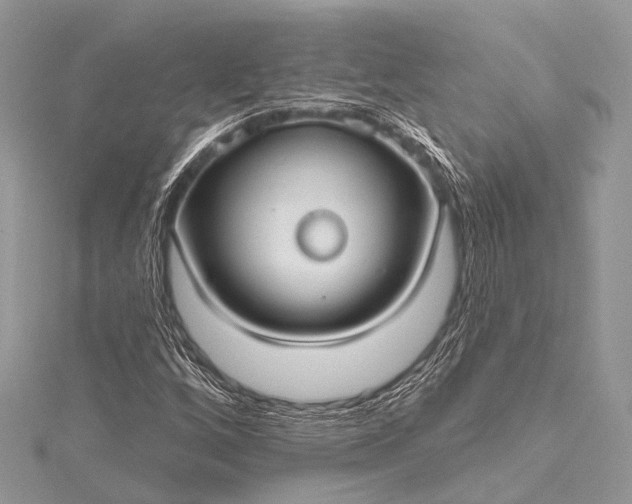 X0000115531256200911201712