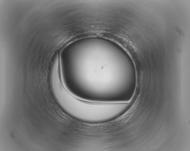 X0000115531257200911201712