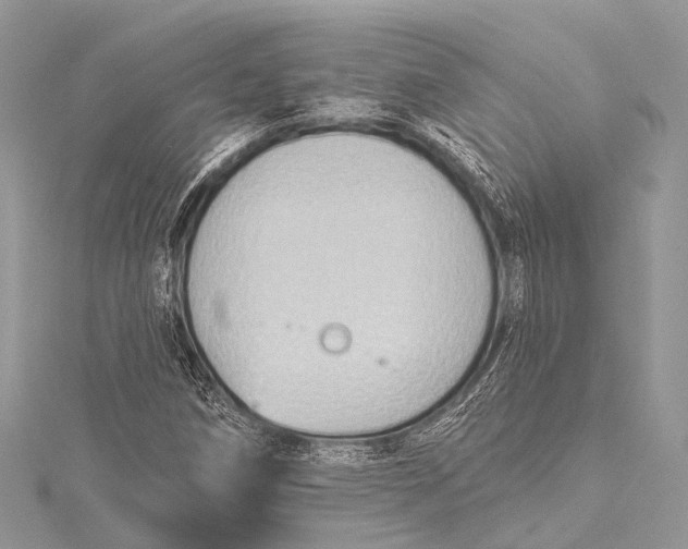 X0000115531258200911201712