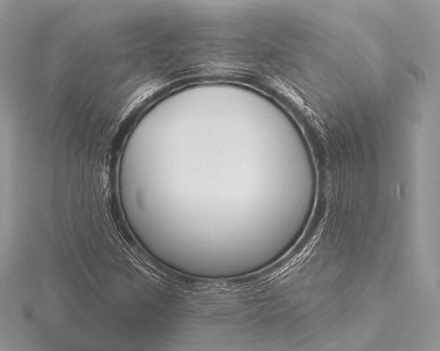 X0000115531259200911201712