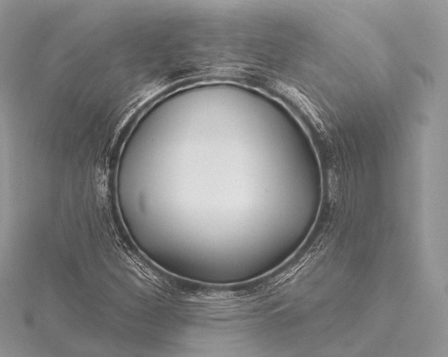 X0000115531260200911201712