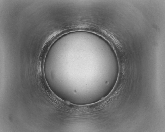 X0000115531262200911201712