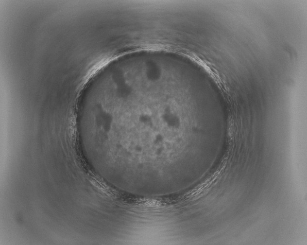 X0000115531263200911201712