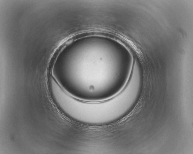 X0000115531264200911201712