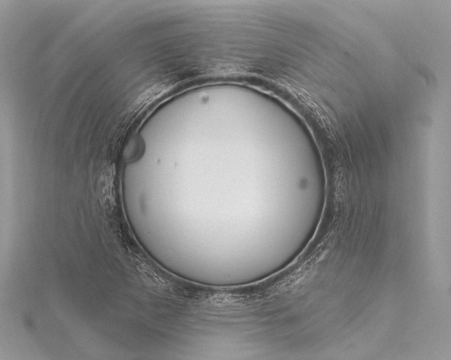 X0000115531265200911201712