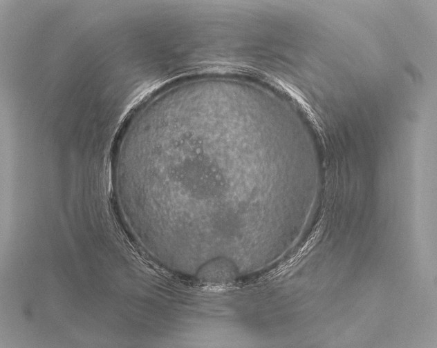 X0000115531267200911201712