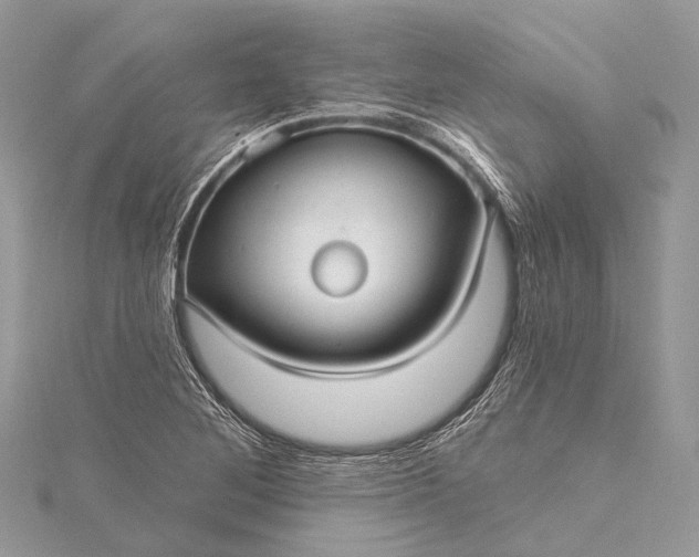 X0000115531268200911201712