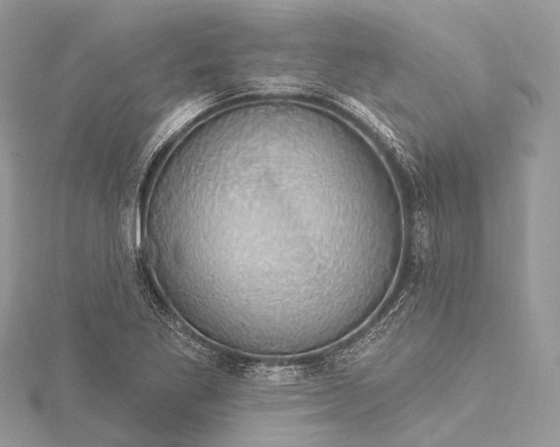 X0000115531269200911201712