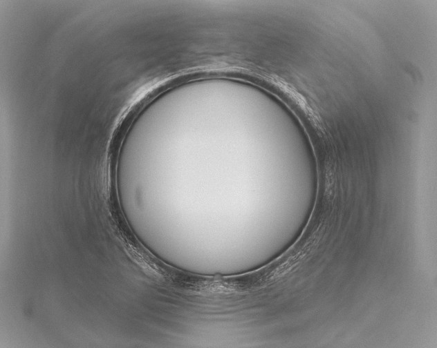 X0000115531270200911201712