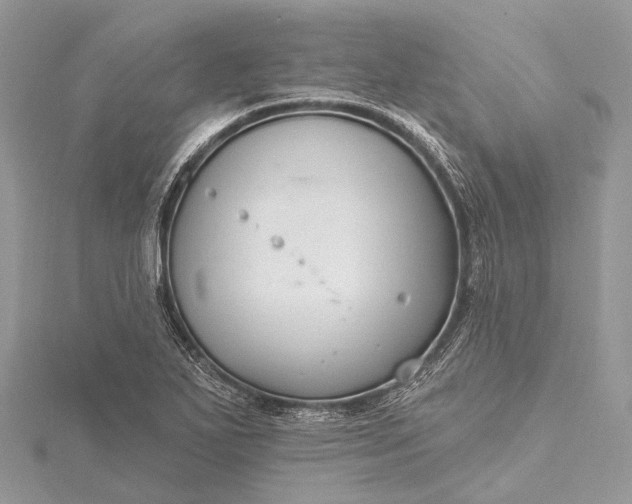 X0000115531271200911201712