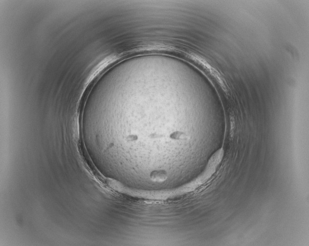 X0000115531274200911201712