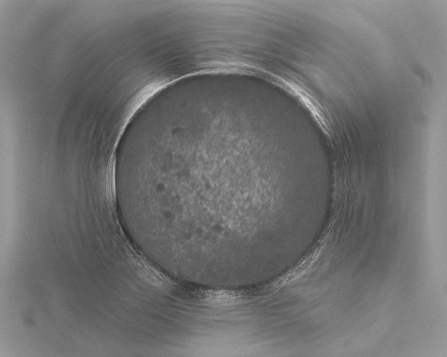 X0000115531275200911201712