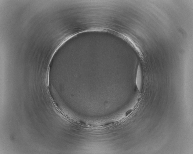 X0000115531276200911201712