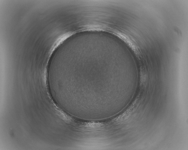 X0000115531277200911201712