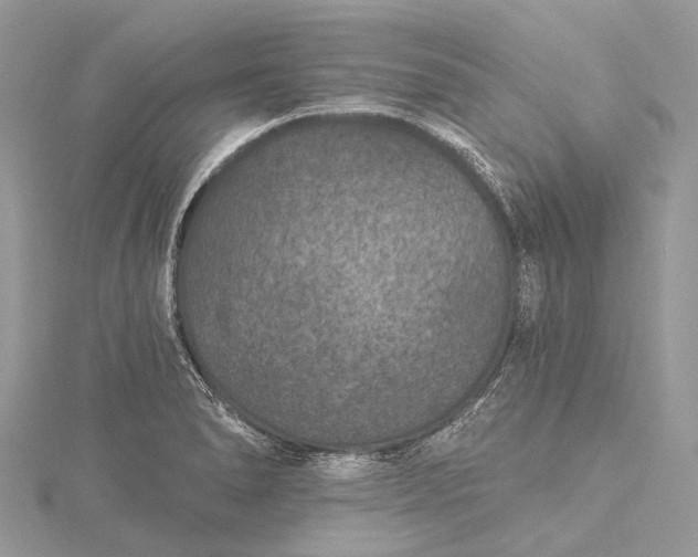 X0000115531278200911201712