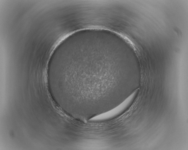 X0000115531279200911201712